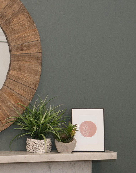 photo of plants sitting on a shelf